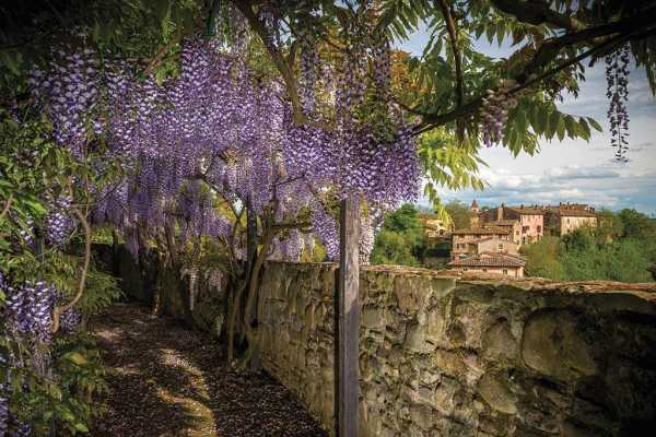 Book now your holiday in San Giustino V.arno in Tuscany in this wonderful exclusive residence with swimming pool, in the province of Arezzo in the V.r